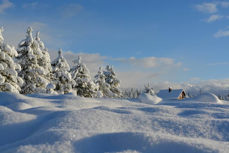 Hammaslääkäri - Itä-Uusimaa image