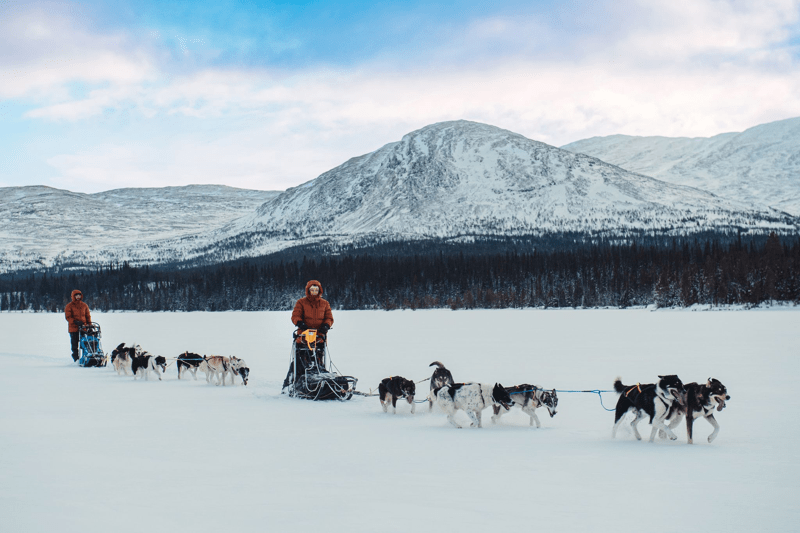 Product Developer image