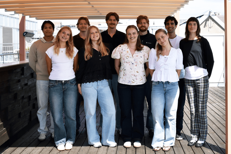 Sommerstudent 2027 image