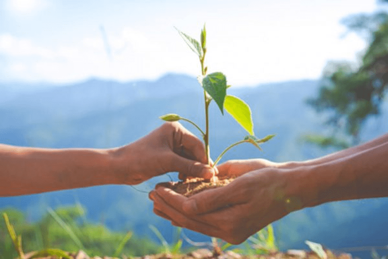 CHEF CULTURE H/F image