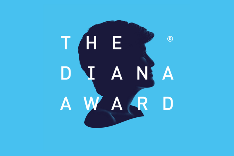 The Diana Award - Chair of the Board image