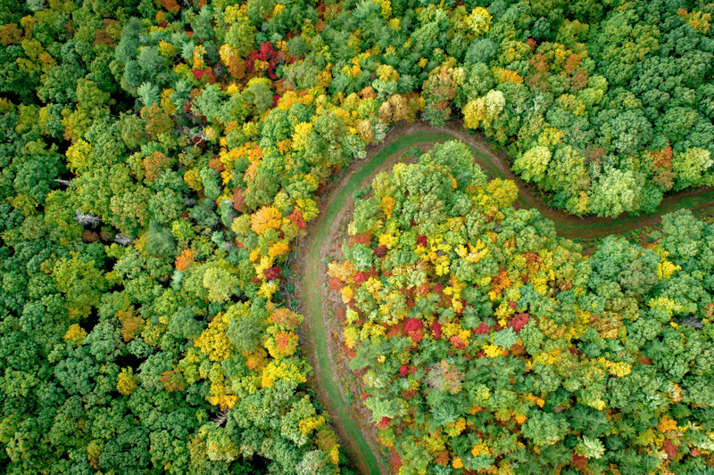 Nyexaminerade Revisorsassistenter image