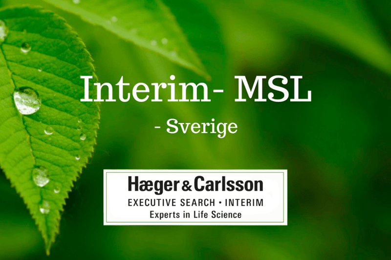 Interim - MSL, Sverige image
