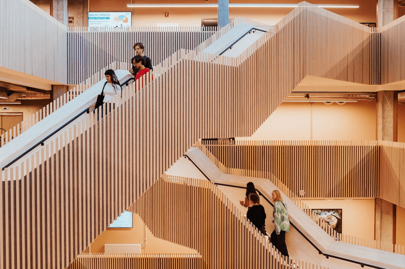 Prorektor - Høyskolen Kristiania image