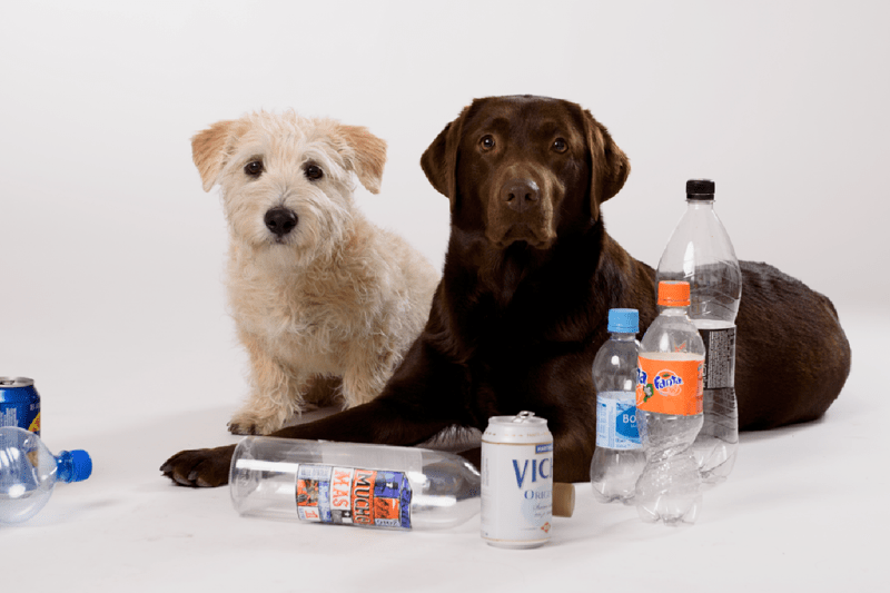 Myyntipäällikkö image