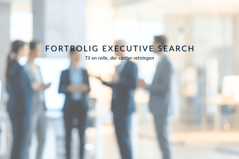 CFO - Sydjylland image