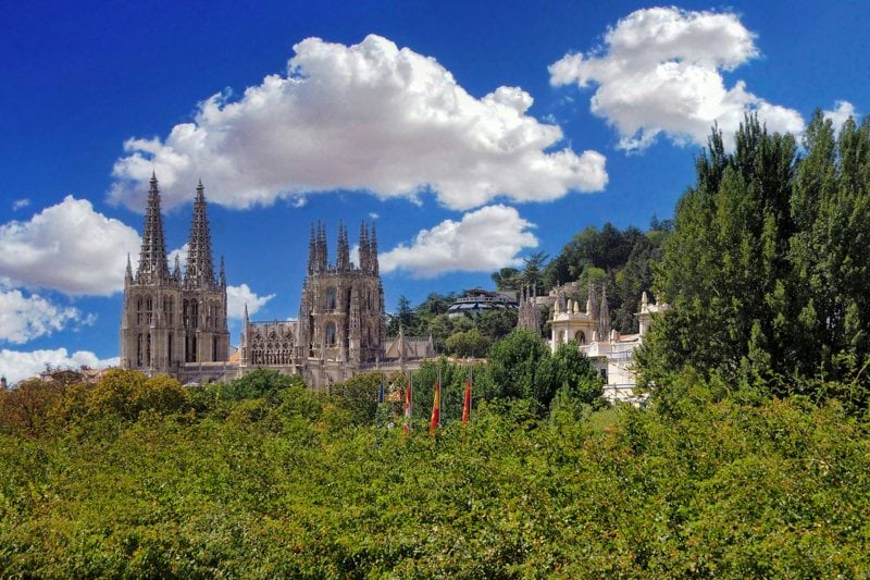 Cocineros/as Burgos image