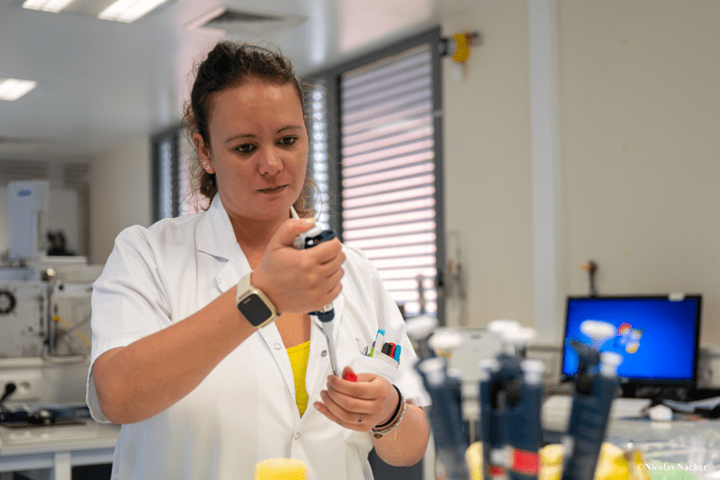 Offre d'emploi temporaire - 2 Techniciens de laboratoire image