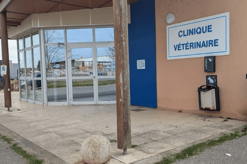 BOURGOGNE - CLINIQUE VETERINAIRE SAINT USAGE - VETERINAIRE CANIN (H/F) CDI image