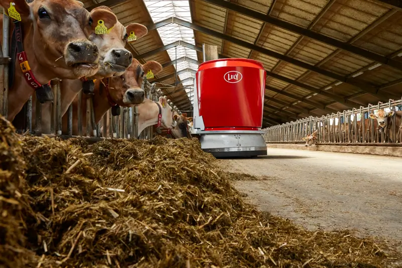 Account Manager till Lely Sverige image