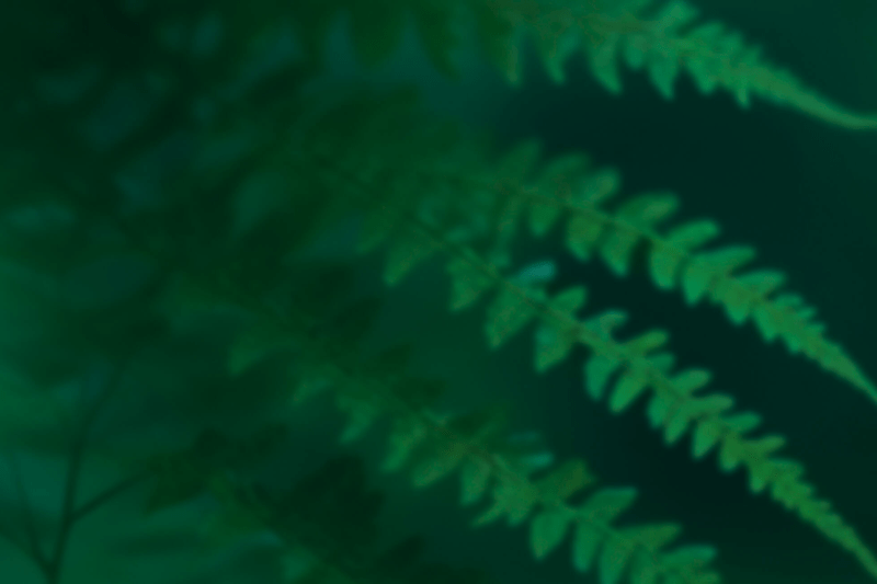 Client Services Associate (London) image