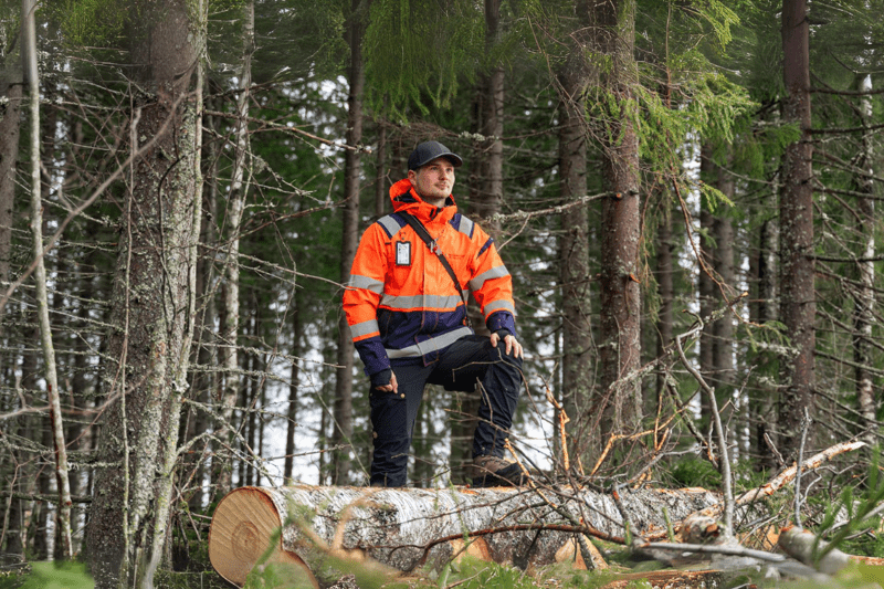 Mhy Pohjois-Karjala: Toimihenkilöharjoitteluhaku 2025 image