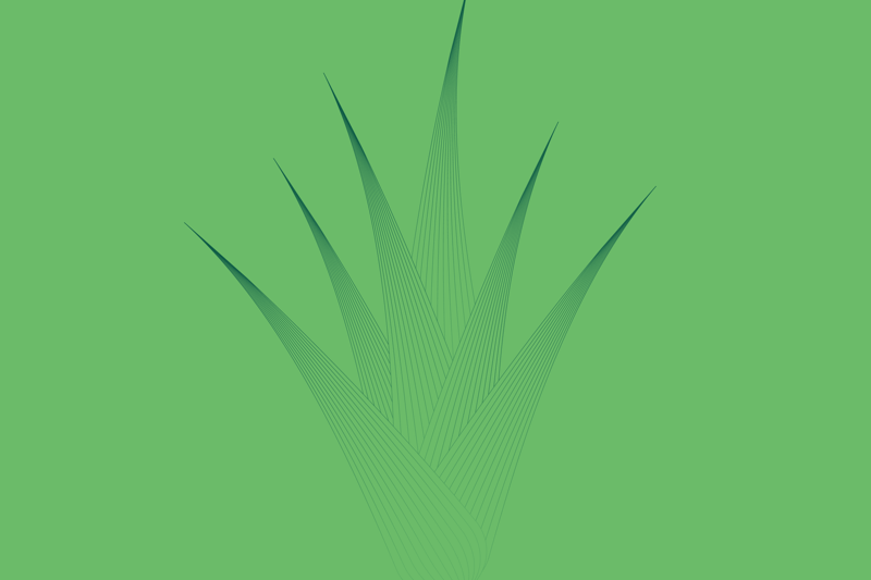 Digital Sales & Partnerships Manager image