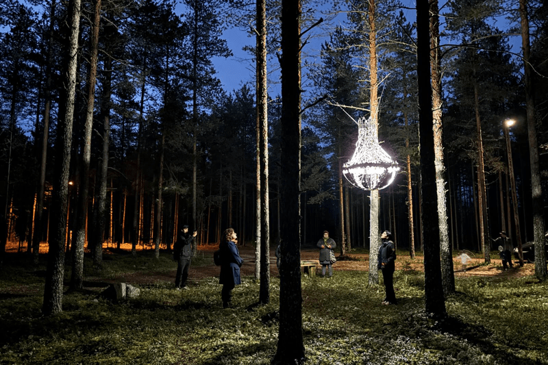 Maaseudun Sivistysliitto ry: Kulttuuripäällikkö image