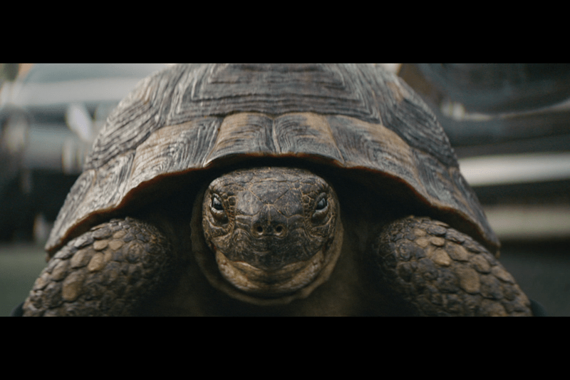 VFX Producer | Film & Episodic image