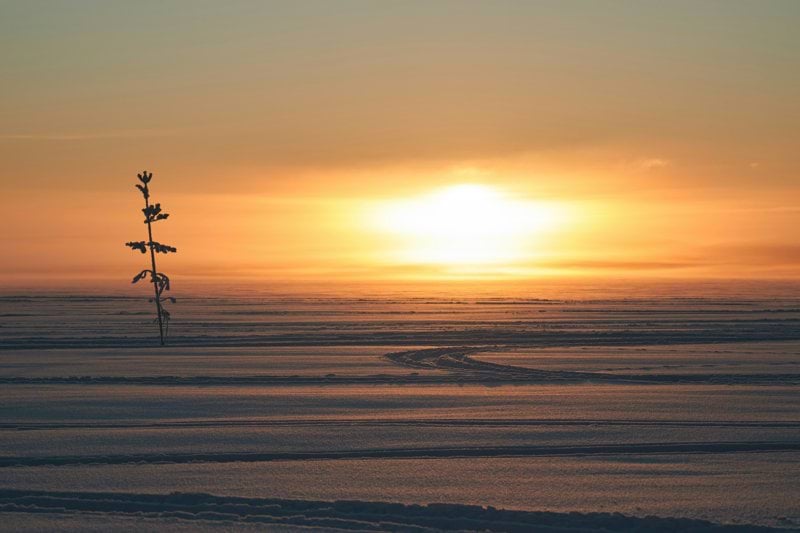 Elkonstruktör med erfarenhet från vattenkraft i Luleå! image