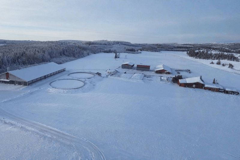 Räsäsen Maito Oy: Karjanhoitaja image