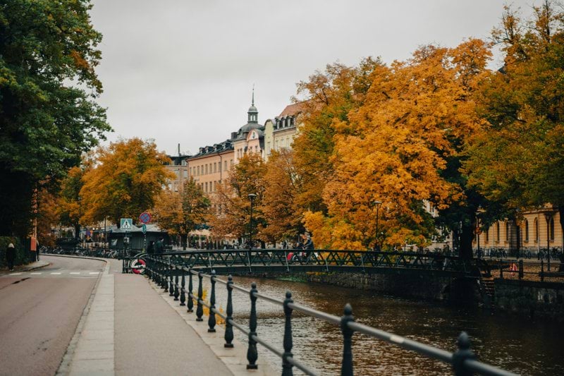 Auktoriserad Revisor till Wiklands Revisionsbyrå! image