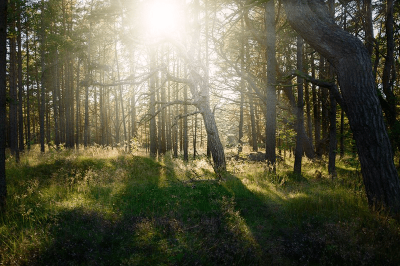 Systemutvecklare image