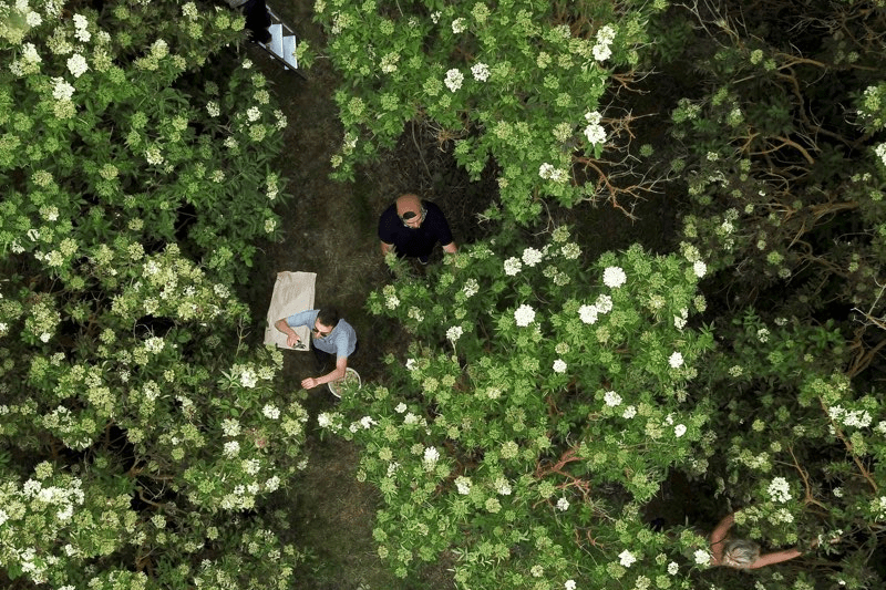 Unsolicited Job Apllication - Noma Projects image