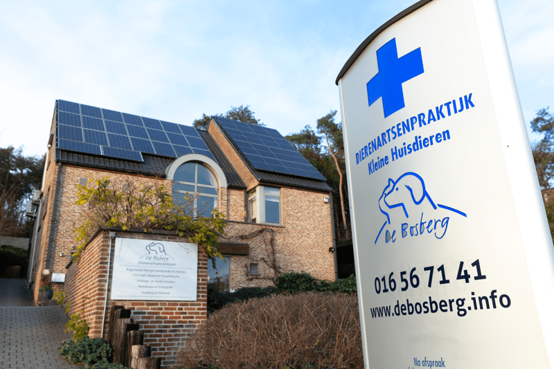 Dierenarts - Bosberg image