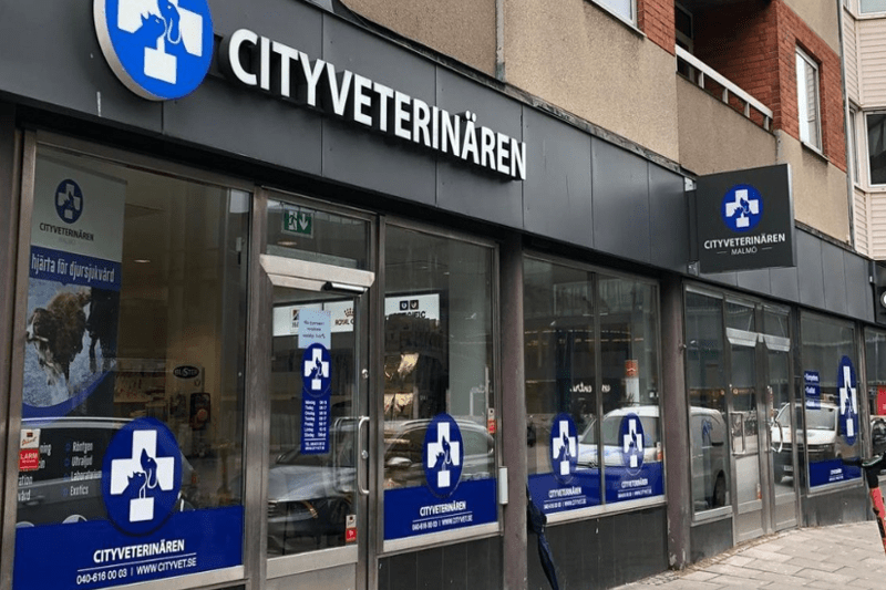 Veterinär till Cityveterinären i Malmö image