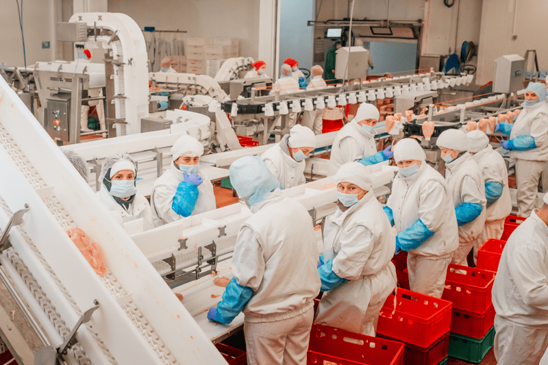 ENGINYER/A DE PROCESSOS (IND CÀRNICA) image