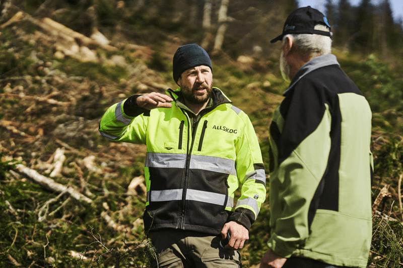 Skogbruksledere, Møre og Romsdal image
