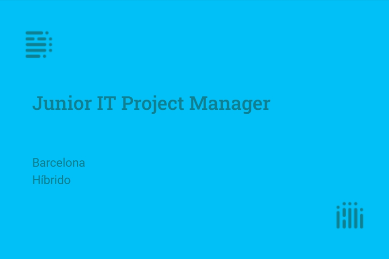 Junior IT Project Manager image