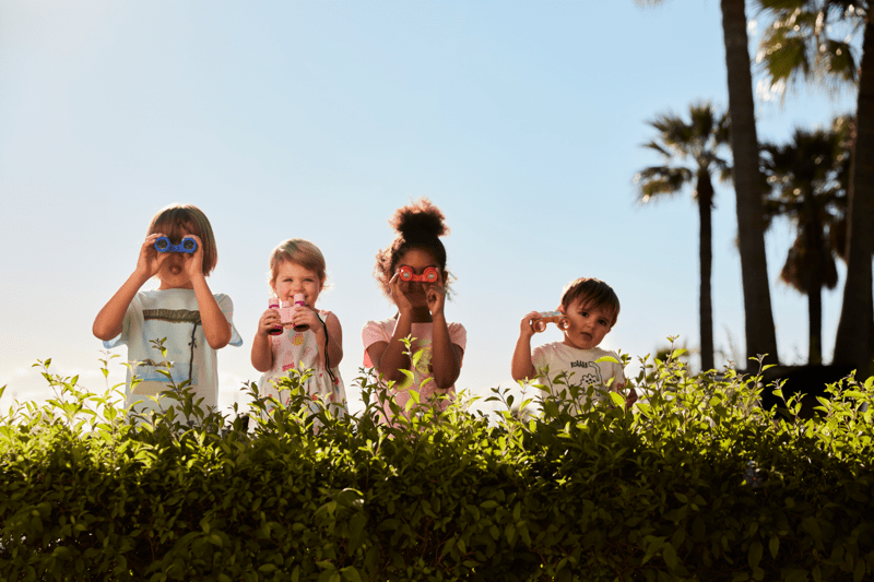 Directeur Régional Paris - Ile-de-France H/F image