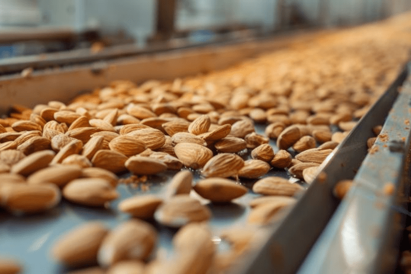 🔧 Técnico/a de Mantenimiento Electromecánico  Central de frutos secos – Beniparrell image