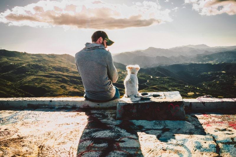 Sales Specialist - Pet Health image