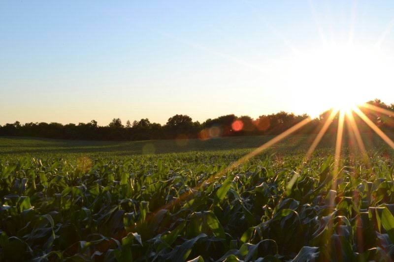 Affärsdriven Projektledare till IGF Biogas! image