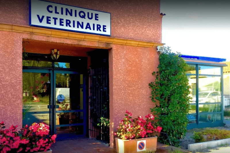 SAINT MARTIN - PERTUIS - VETERINAIRE EN CDI (H/F) image