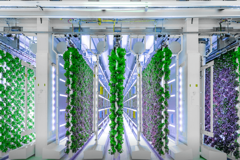 Talent Acquisition Manager & Business Partner till Sertion image