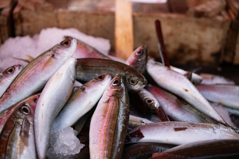 Addetti Pescheria image