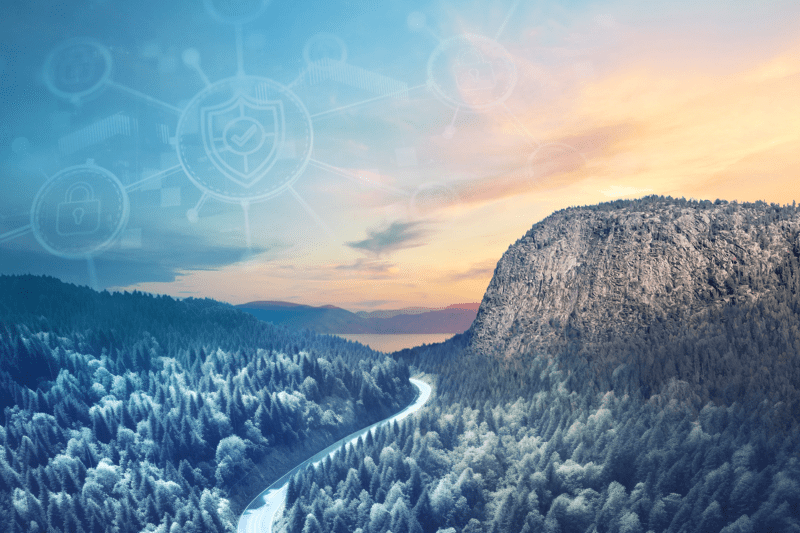 Director of IT image