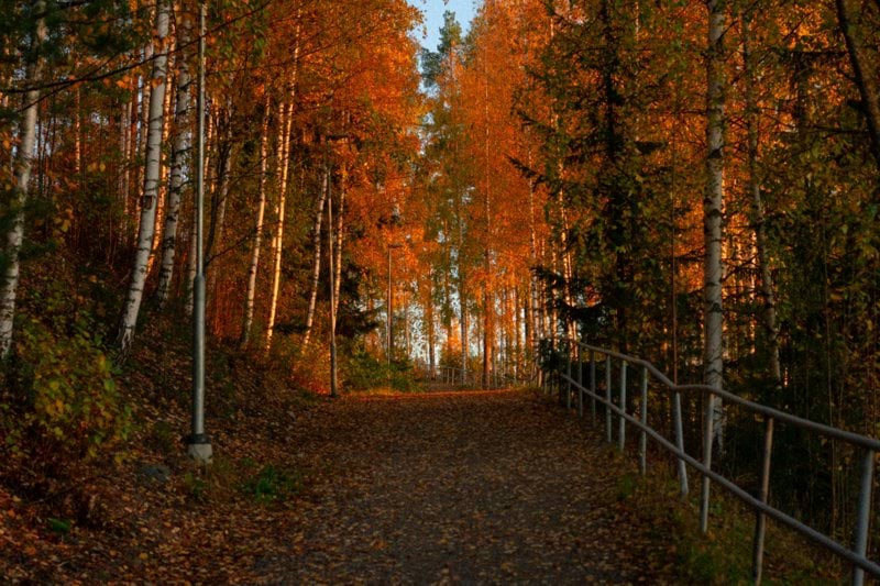 Lähihoitaja - Saarijärvi, Karstula, Kannonkoski alueen ikääntyneiden palvelut image