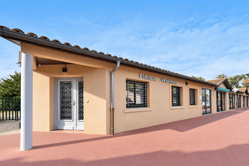 Toulouse - Lacroix Falgarde - Vétérinaire Généraliste - CDD (H/F) image