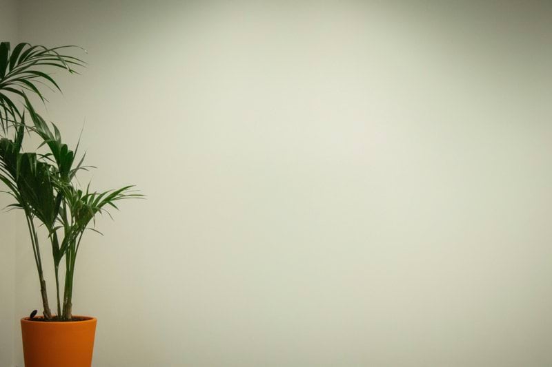 Business support coordinator image