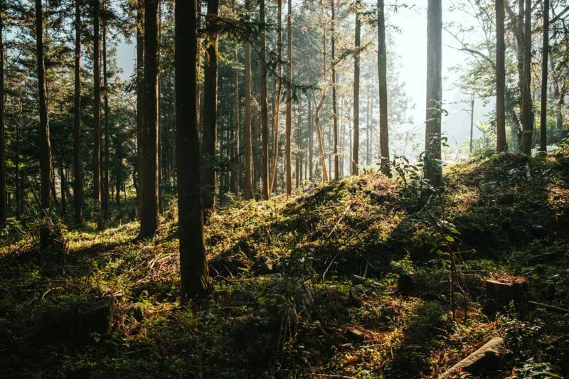 Account Manager - Killgerm Scandinavia image