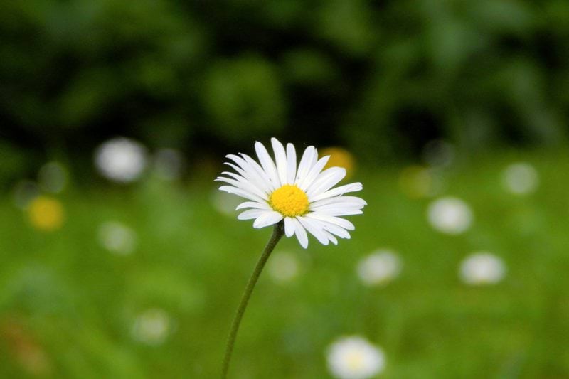 Sommarvikarie på ca85% sökes till tjej i Bredbyn image