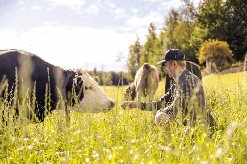 Farmer Success Manager Norway image