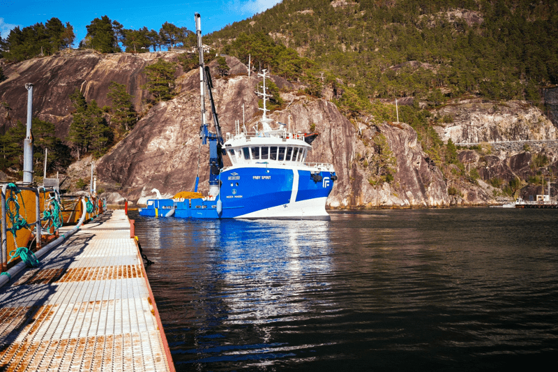 Skipsfører Frøy Spirit image