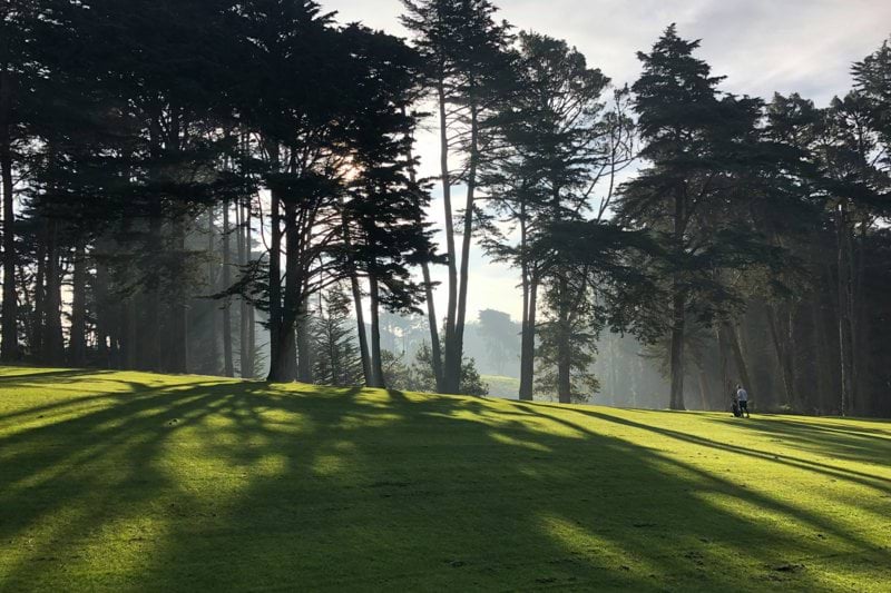 Head Chef - Sandbach - Golf Club - 30k+ image