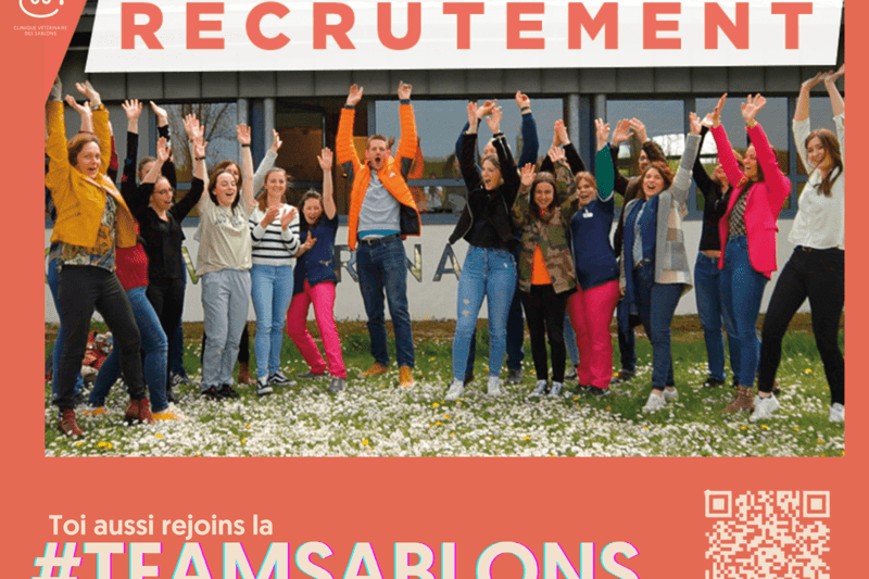 CHARTRES - SABLONS - ASSITANT ACCUEIL/ASV (FRONT OFFICE) EN CDI (H/F) image