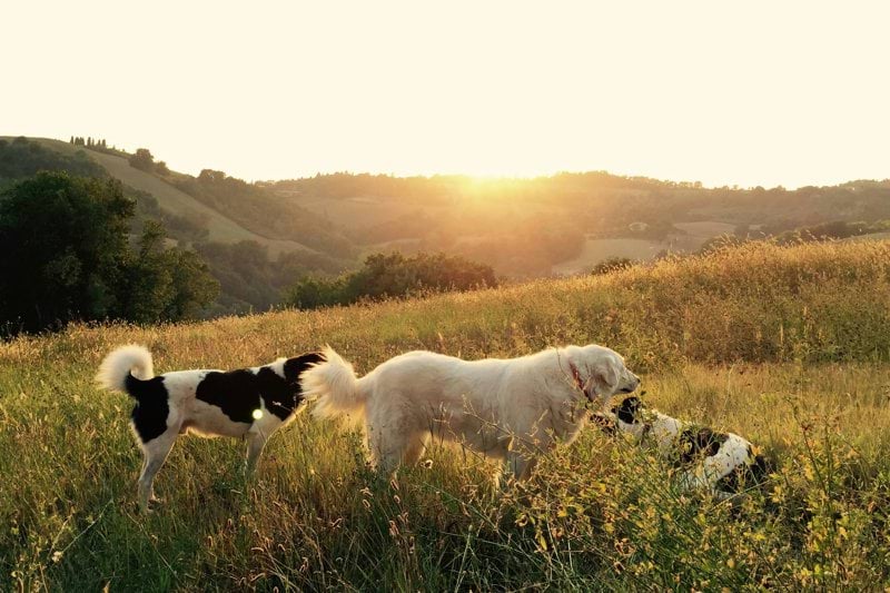 Personlig assistent på ca 90 % dagtid till tjej i 20-årsåldern image
