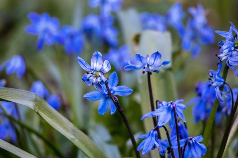 Butikssäljare till bemanningspool - Blomsterlandet,  Norrtälje image
