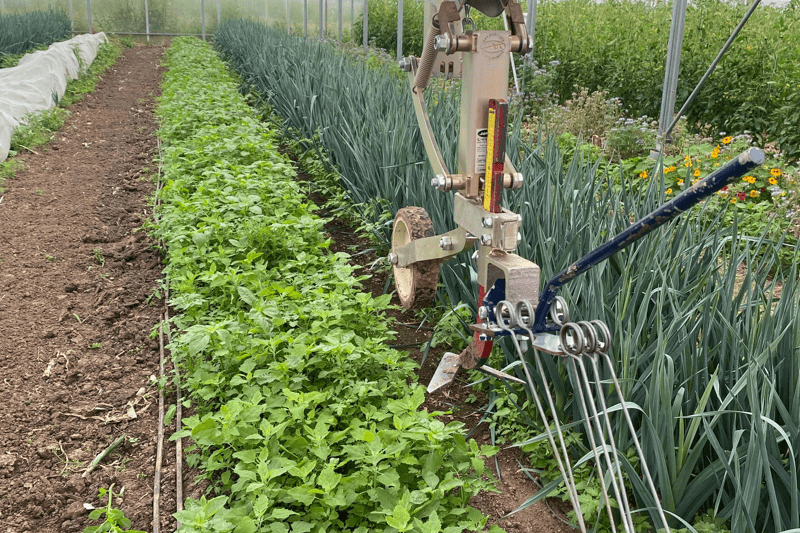 Maraîcher (H/F) image