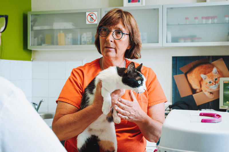 Vétérinaire Généraliste F/H image